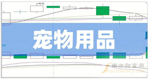 寵物經(jīng)濟(jì)浪潮中的領(lǐng)跑者 2024年寵物用品上市龍頭企業(yè)盤點(diǎn)